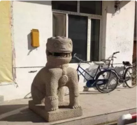 史上最萌的看门狮子