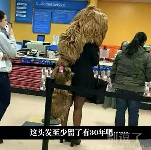 这也是你家的宠物吗 这也是你家的宠物吗