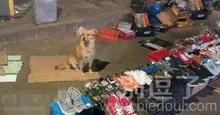 走过路过不要错过 走过路过不要错过