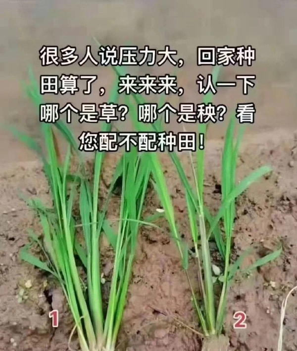 轻松一刻:愿得一人心,免得老相亲! 轻松一刻:愿得一人心,免得老相亲!