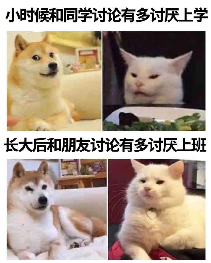 轻松一刻:愿得一人心,免得老相亲! 轻松一刻:愿得一人心,免得老相亲!