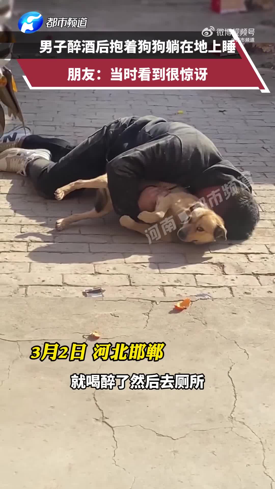 轻松一刻：愿得一人心，免得老相亲！