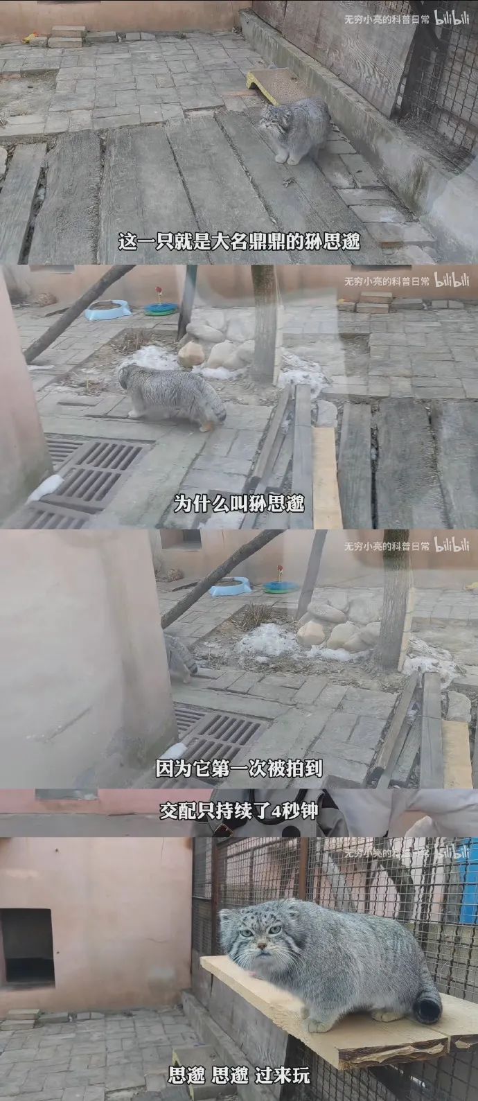 轻松一刻:愿得一人心,免得老相亲! 轻松一刻:愿得一人心,免得老相亲!