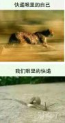 有谁能懂快递哥哥的心