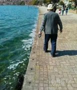 大爷，您倒是回头看看您的狗啊