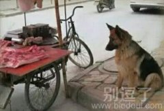 多么痛的领悟呀! 多么痛的领悟呀!