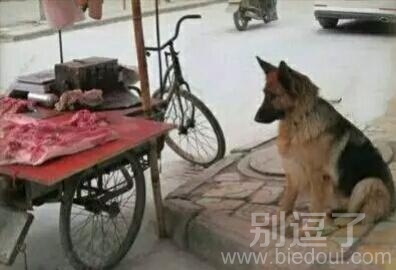 多么痛的领悟呀!