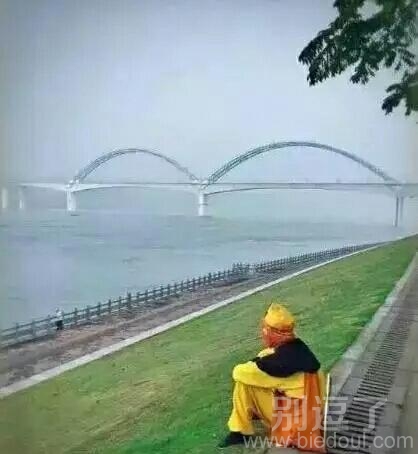 好一个孤独的背影,猴哥经历了什么 好一个孤独的背影,猴哥经历了什么