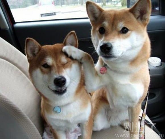 看啥呢,让我也看看! 看啥呢,让我也看看!