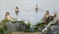 美人鱼聚会 美人鱼聚会