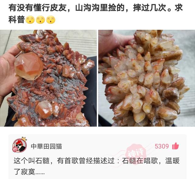 神回复：你和同桌做过最刺激的事是什么？快停车，飙车速度太快了