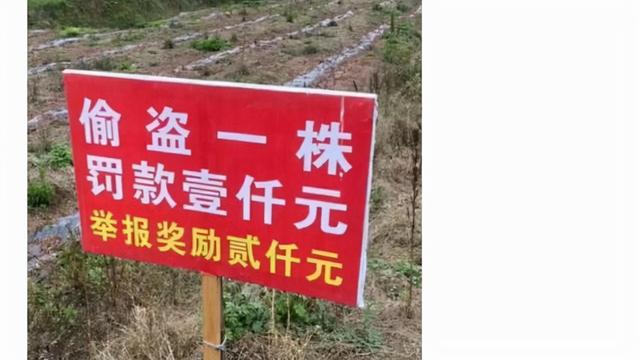 神回复:你和同桌做过最刺激的事是什么?快停车,飙车速度太快了 神回复:你和同桌做过最刺激的事是什么?快停车,飙车速度太快了