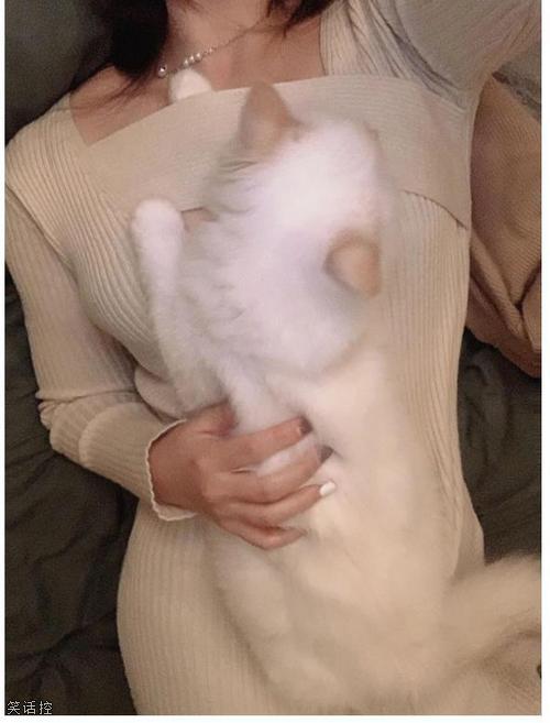一时不知道该羡慕谁