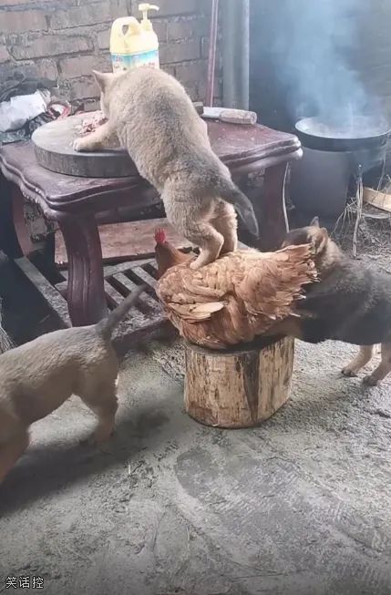 这...