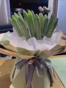 送女生最好的花束 送女生最好的花束