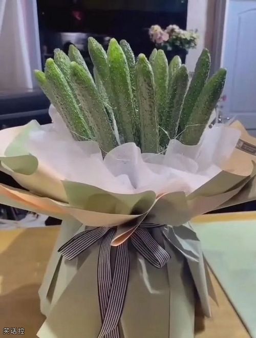 送女生最好的花束 送女生最好的花束