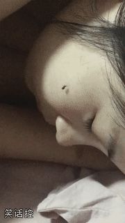 手到擒来 手到擒来