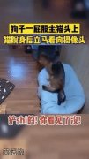 犯罪证据 犯罪证据