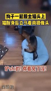 犯罪证据 犯罪证据