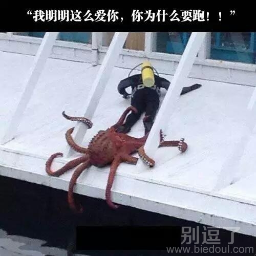 求天降大神来解救我呀 求天降大神来解救我呀