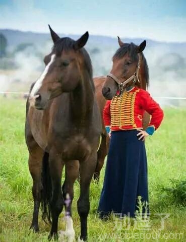 摄影师这个角度好刁钻 摄影师这个角度好刁钻