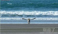 感觉自己要起飞了! 感觉自己要起飞了!