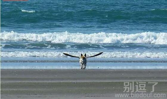 感觉自己要起飞了！