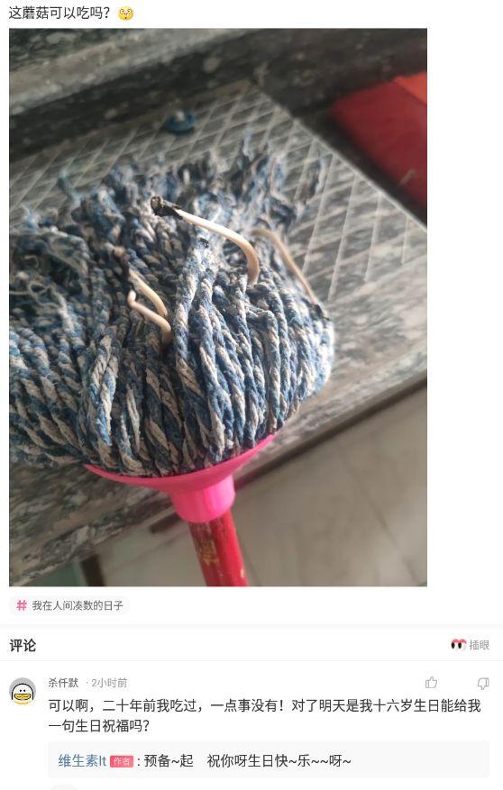 神回复:什么东西明明是盗版,却比原版还火? 神回复:什么东西明明是盗版,却比原版还火?