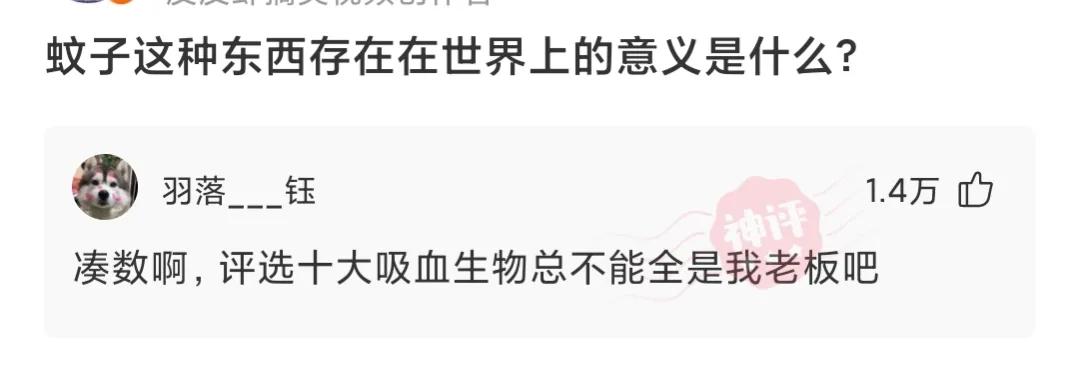 “黄衣服的妹妹现在是我的女朋友了，有啥想问的吗？”哈哈哈哈哈