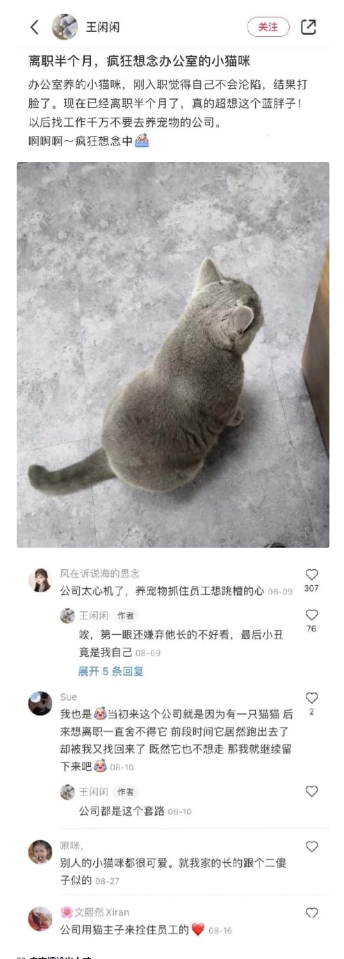 “黄衣服的妹妹现在是我的女朋友了,有啥想问的吗?”哈哈哈哈哈 “黄衣服的妹妹现在是我的女朋友了,有啥想问的吗?”哈哈哈哈哈