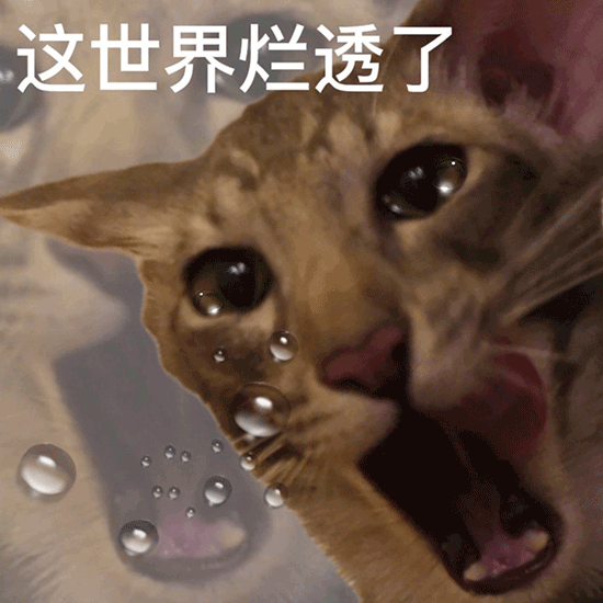 这世界烂透了(猫猫表情包)