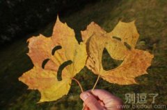 笑脸和哭脸。。。。。