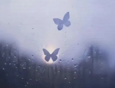 终究不是一路人经典句子 三观不合的朋友圈文案 终究不是一路人经典句子 三观不合的朋友圈文案