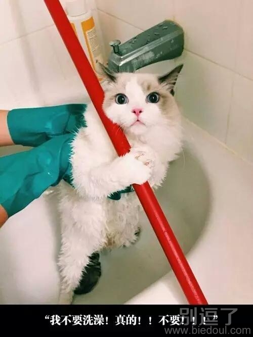 我差点就心软了呢