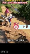 生活不易迪伽叹气