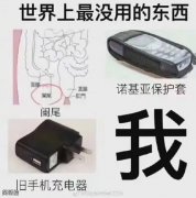 手机充电器还能用