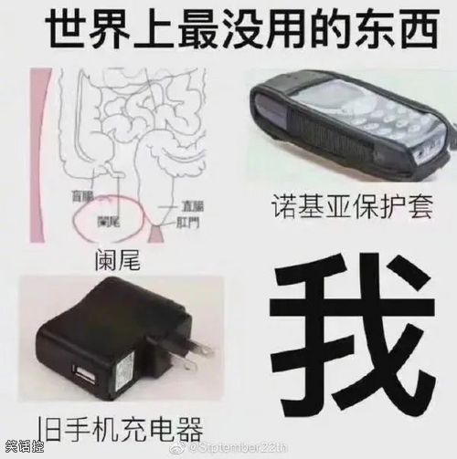 手机充电器还能用