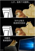 懂的都懂