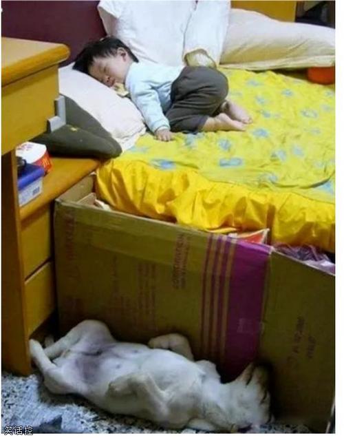 该趴的不趴该躺的不躺 该趴的不趴该躺的不躺