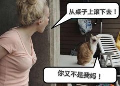 你又不是我妈！