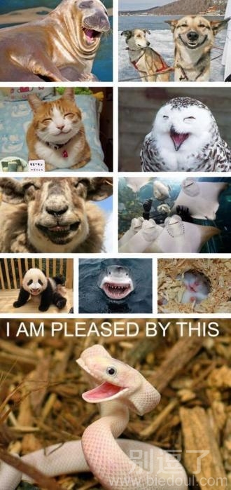 笑一下 分享想 传染下 笑一下 分享想 传染下