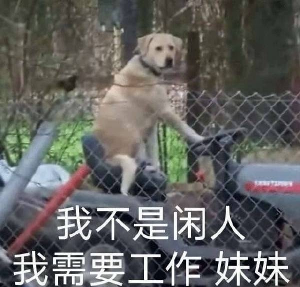 轻松一刻:优衣库试衣间又出事!再次震撼我一整年 轻松一刻:优衣库试衣间又出事!再次震撼我一整年