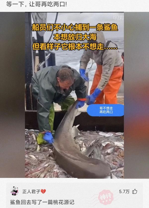 神回复:来聊,如何逼迫一个喜欢你的男生向你表白? 神回复:来聊,如何逼迫一个喜欢你的男生向你表白?