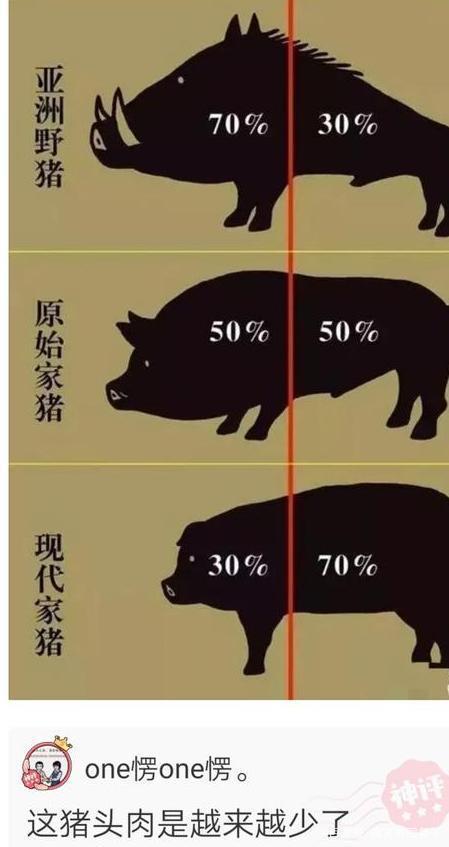 神回复:来聊,如何逼迫一个喜欢你的男生向你表白? 神回复:来聊,如何逼迫一个喜欢你的男生向你表白?