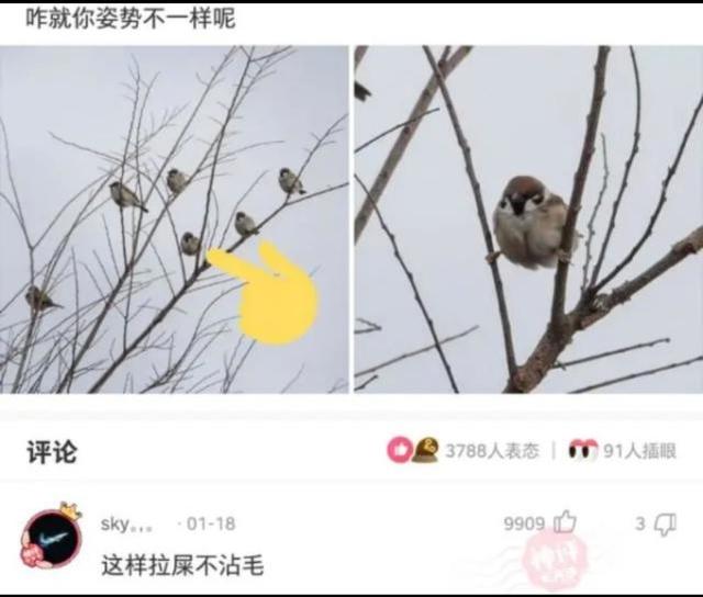 神回复:来聊,如何逼迫一个喜欢你的男生向你表白? 神回复:来聊,如何逼迫一个喜欢你的男生向你表白?