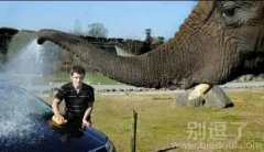 您好，我是您的私人洗车小助手