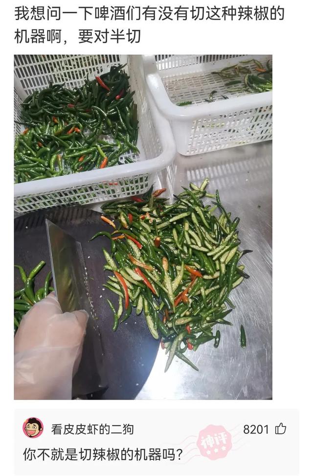 神回复:世界上最聪明的东西是什么 神回复:世界上最聪明的东西是什么