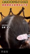 老师的手也太巧了
