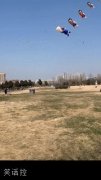 唤醒了谁的童年