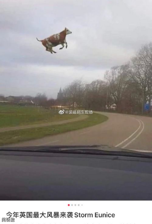 牛逼上天了。 牛逼上天了。